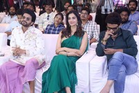 Anaganaga Oka Raju Movie Success Meet Photos